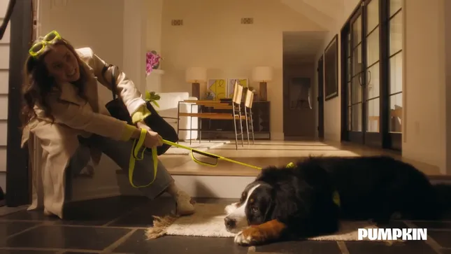 The Moment You Know | Pumpkin Pet Insurance