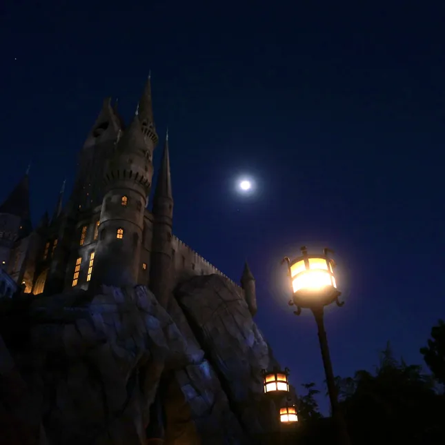 Universal Studios Gallery