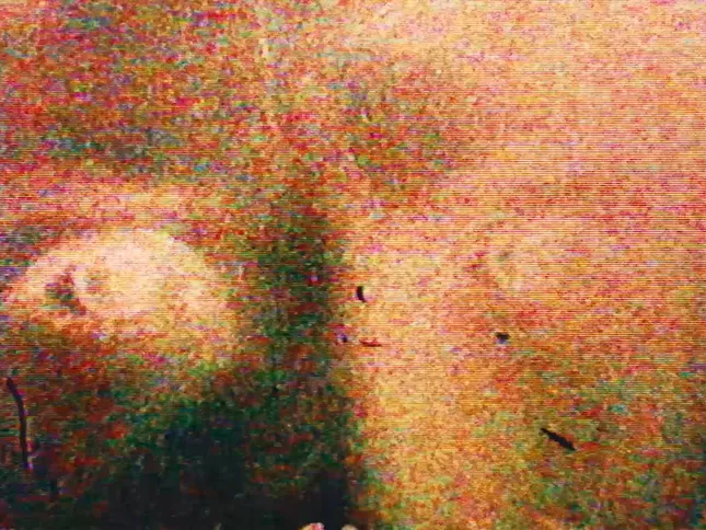 Same Sun - Still Blank