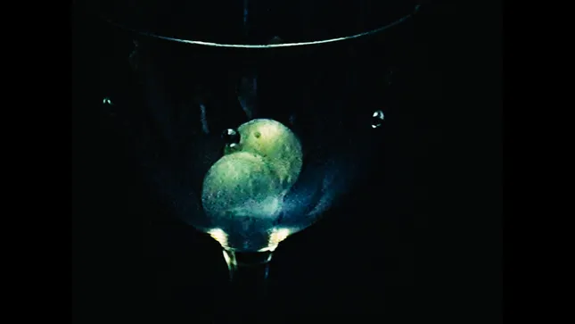 Disco Aperitivo