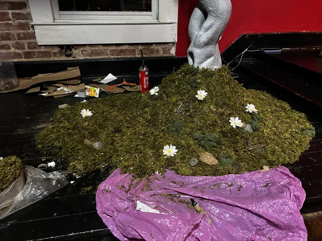 Project image