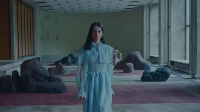 Valeria Stoica - The Will