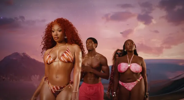 Megan the stallion x Walmart