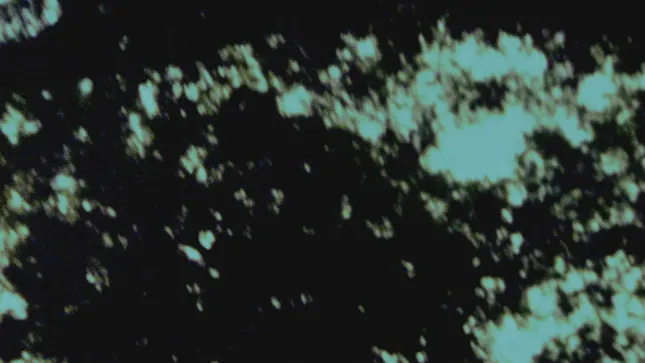 Maggie Rogers - Live Visuals