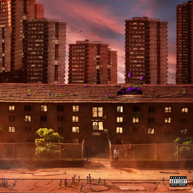 M24 - Concrete Rose