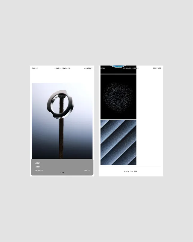Project image