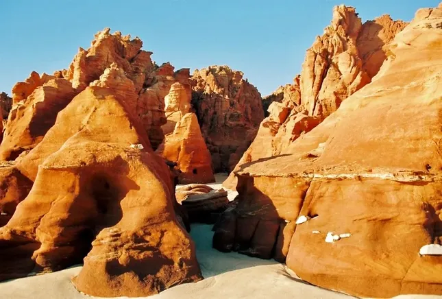 'Not Behind' | Photography Exhibition