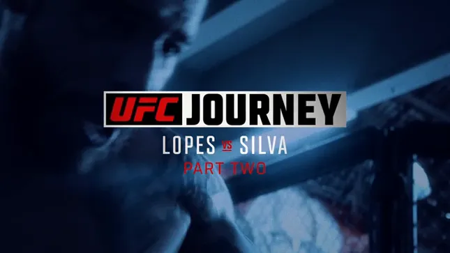 UFC  Journey