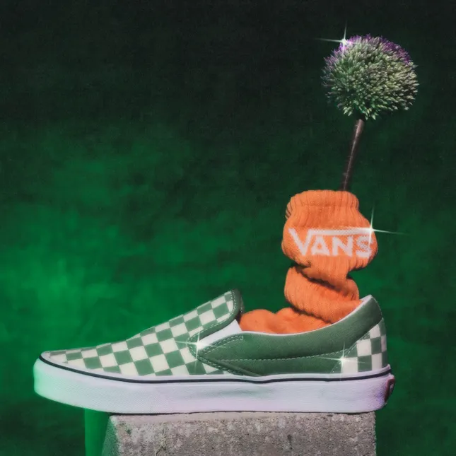 Vans Classics