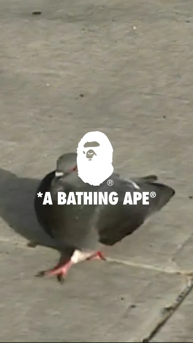 Bape x KidSuper