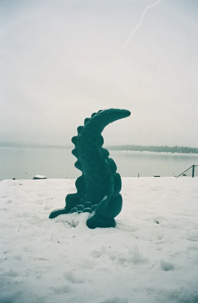 Project image