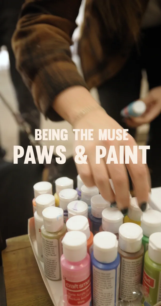 Paws & Paint - Social Media Content
