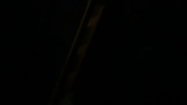 Western Collection- Nikki Reed- jewelry campaign