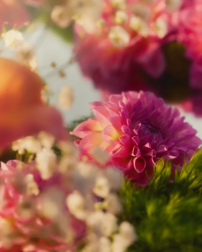 Flower Test Shoot