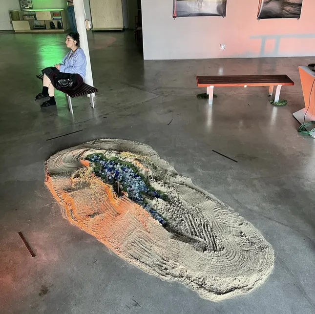Project image