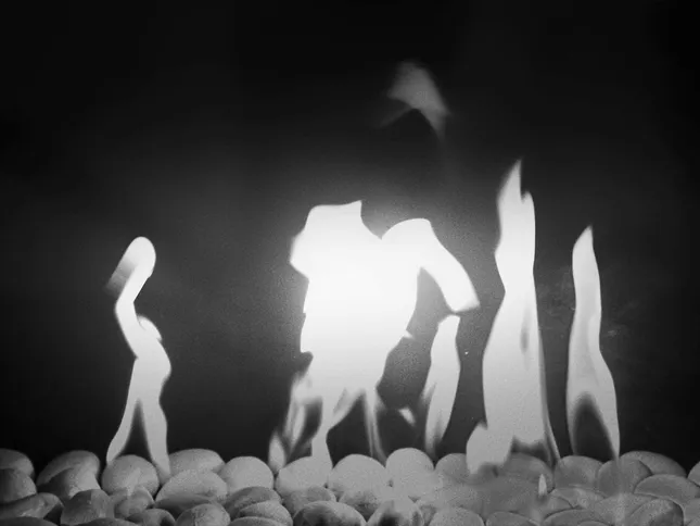 Freecell - Orbitless perfume