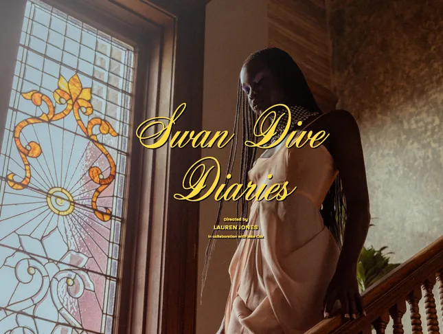 Swan Dive Diaries