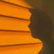 AA  Avatar