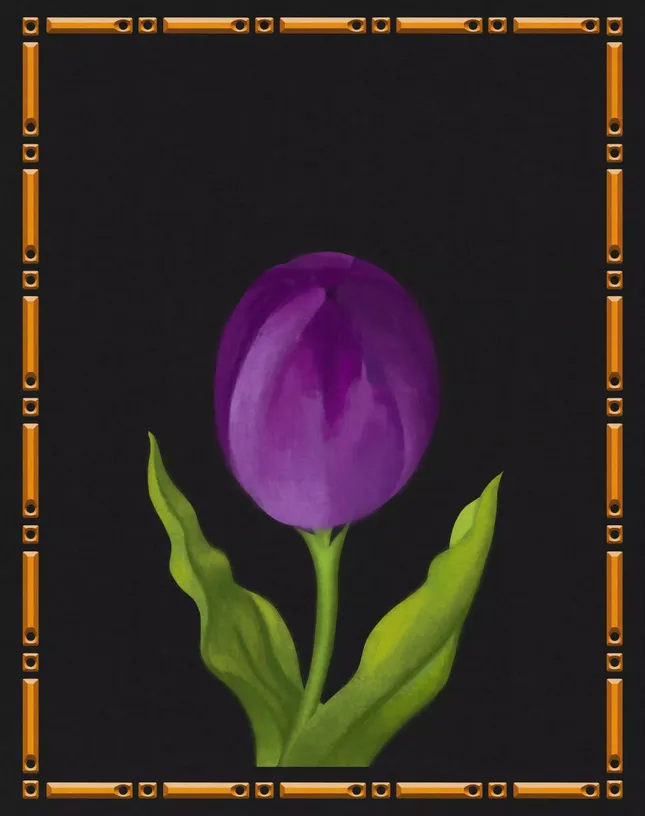 Tulip blossoming animation