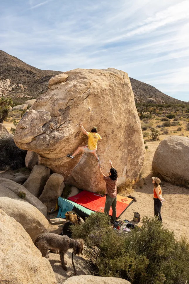 Nathan Guerrero x J Tree Rock Climbing