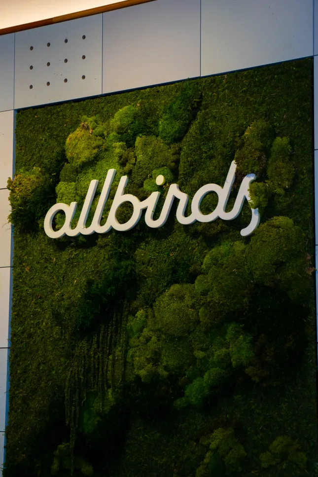 Allbirds Soho Tree Glider Product Launch