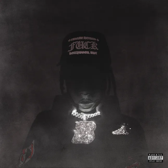 Burna Bandz Concept Artwork