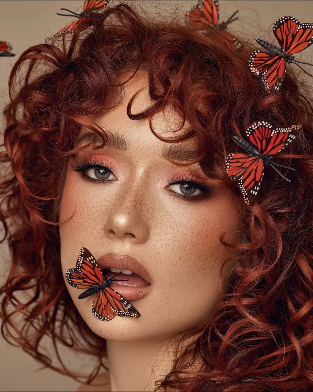 Monarch 🦋