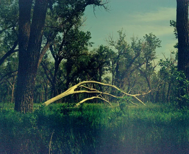 Project image