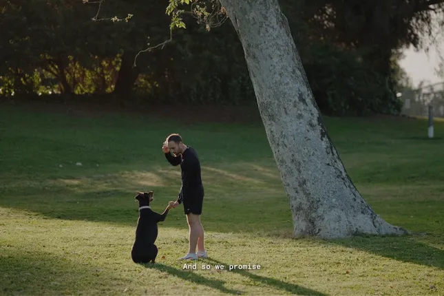 DOG PPL: Brand Manifesto