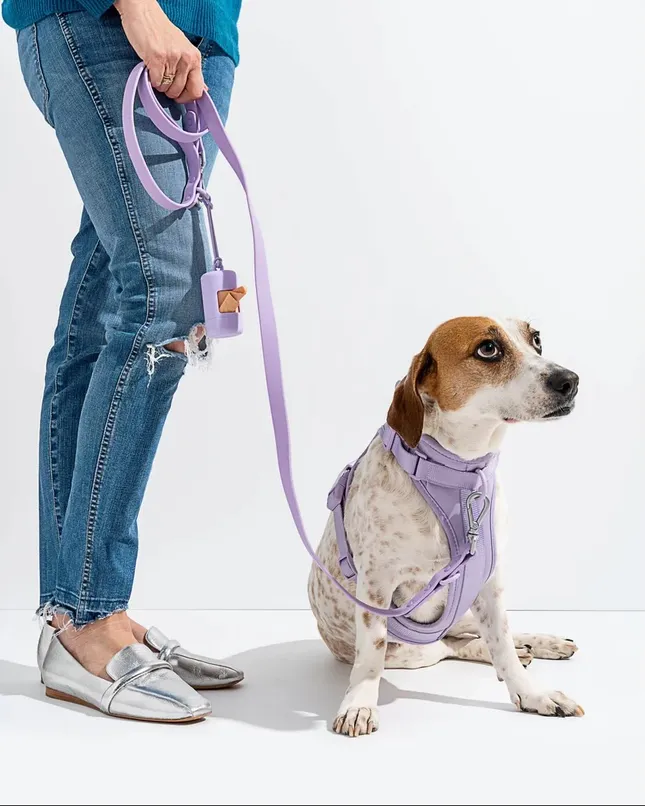 Wild One Walking Kit & Dog Treat Product Launch