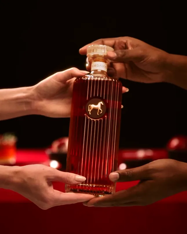 Sir Davis Holiday 25’