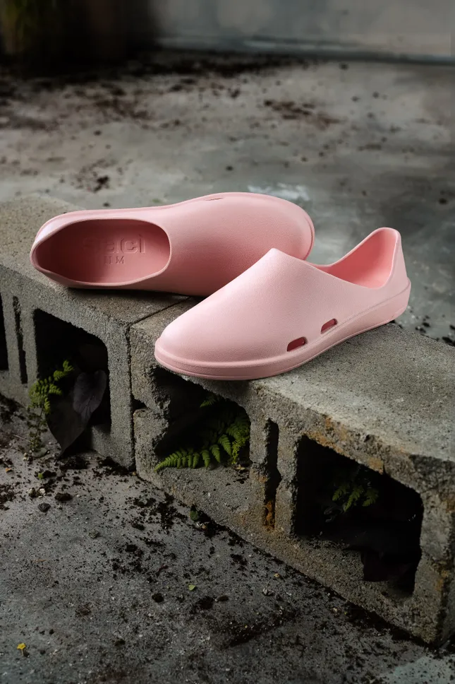 Saci campaign