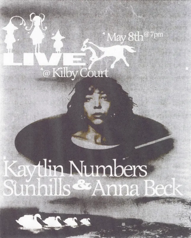Poster for Kaytlin Numbers