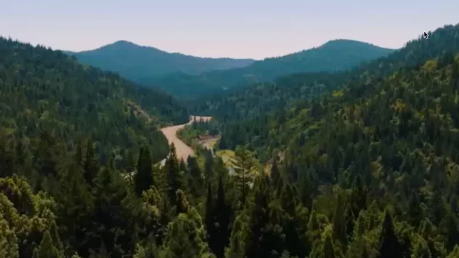 Northern Nights Music Festival 2025 Website Sizzler