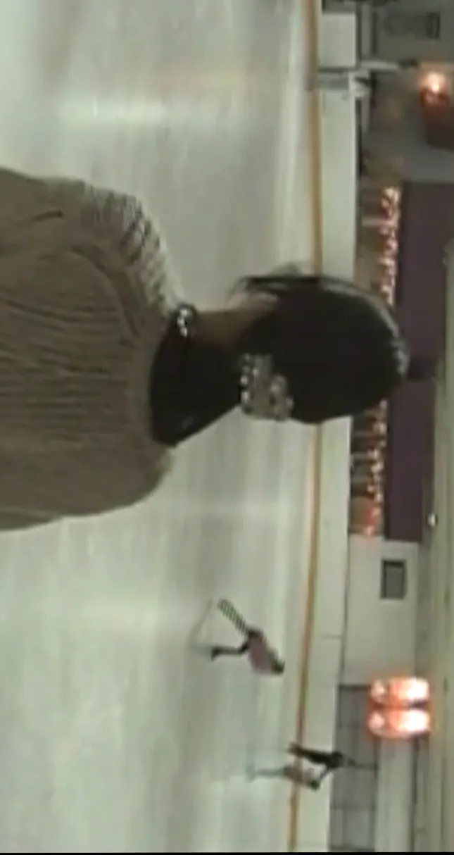 Wildflower Cases Winter Case Promotional Video