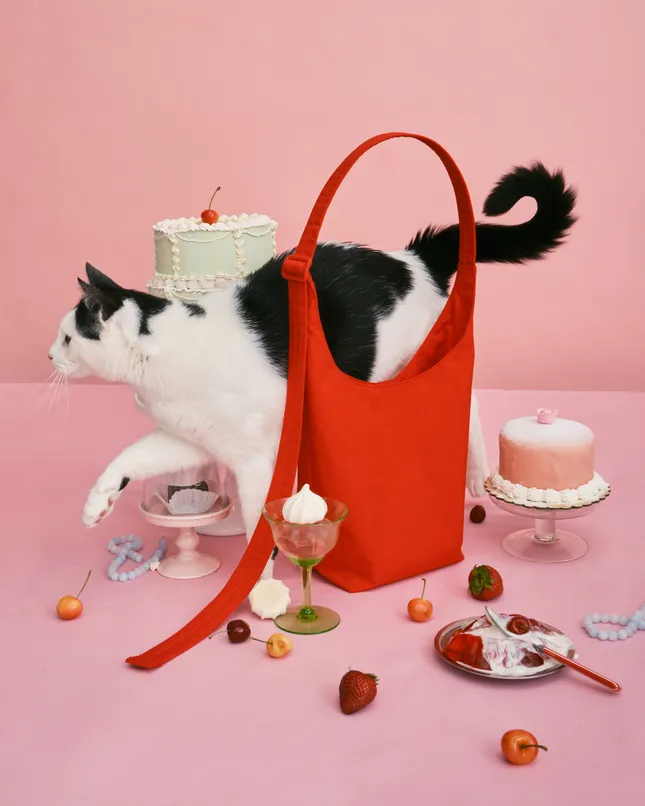 Baggu Summer Campaign