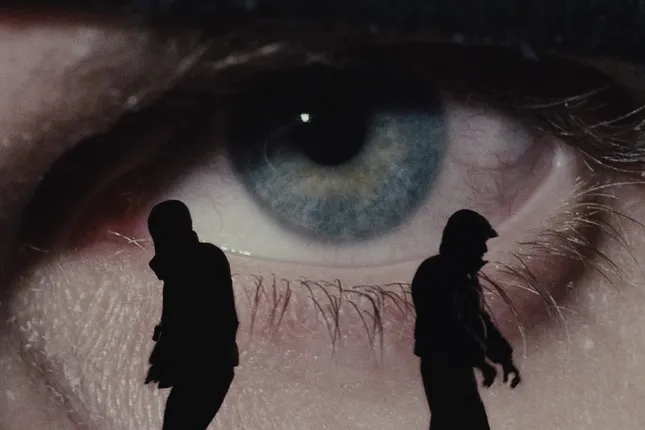 nibor x dante yn / bab