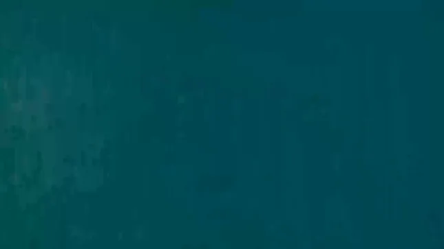 LAST FEW - fashion com