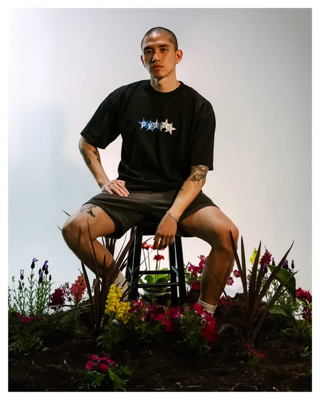 Project image