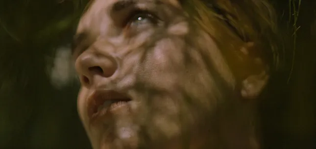 It's an Endless Journey