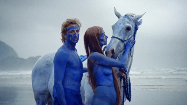 Kirin J. Callinan - In Absolutes