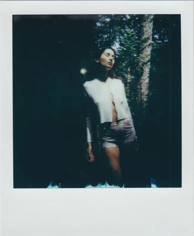 Polaroid Arina