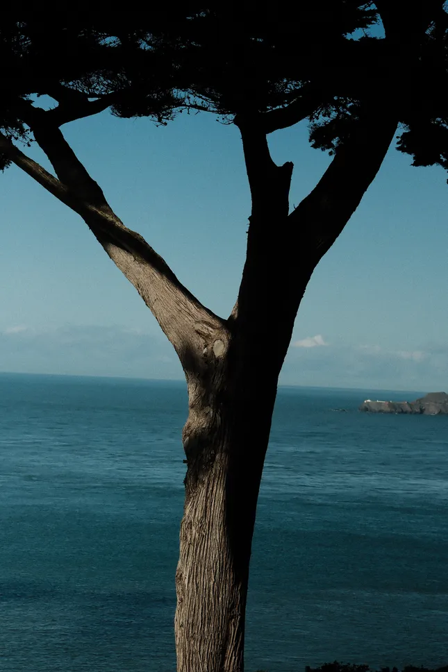 Coastal Wanderers