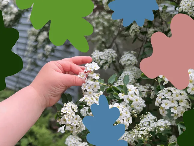 fledglings montessori school