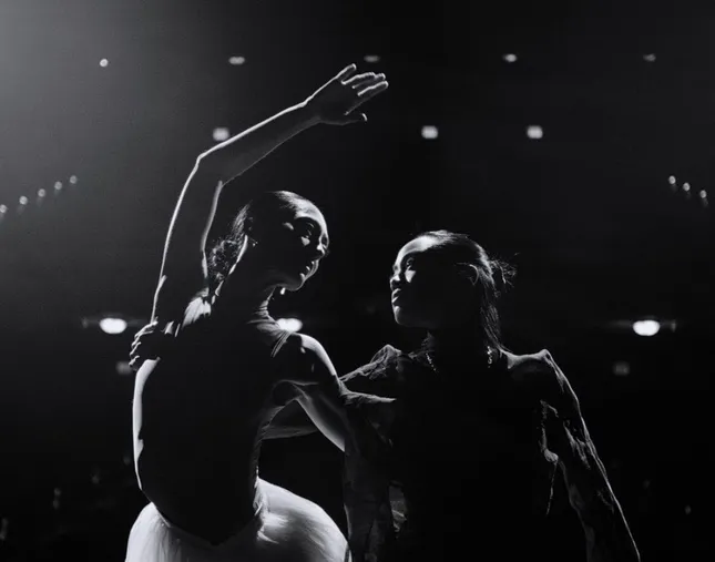 AGCF (Alexandra Gucci Zarini) x Jeoffry Ballet x Action Lines