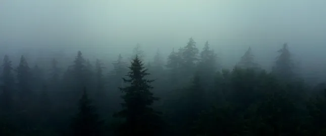 The Manor: Spec Trailer