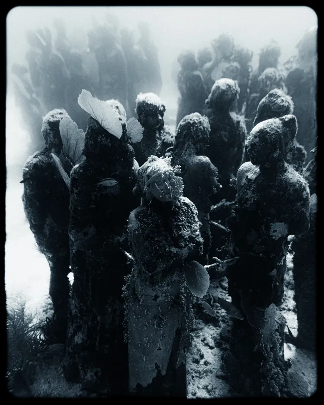 Project image