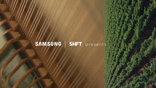 The Big Picture: Zaria Forman