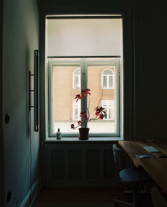 Project image