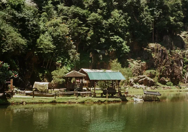 Project image